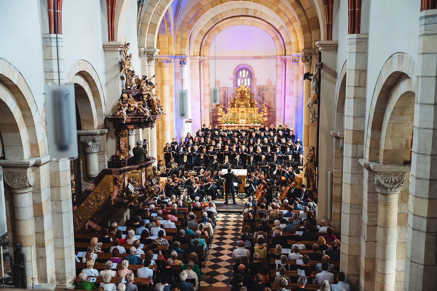 20240630-Knabl-KuSo-St.Paul-Sommer-056